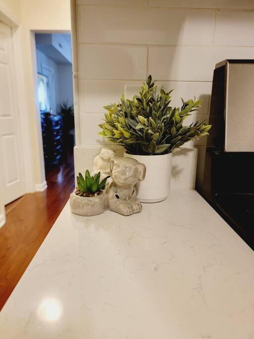 Guest house Modern 4 Bed Jersey City, Nj Easy Access To Manhattan