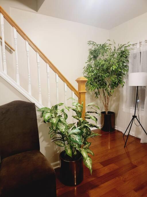 Modern 4 Bed Jersey City, Nj Easy Access To Manhattan