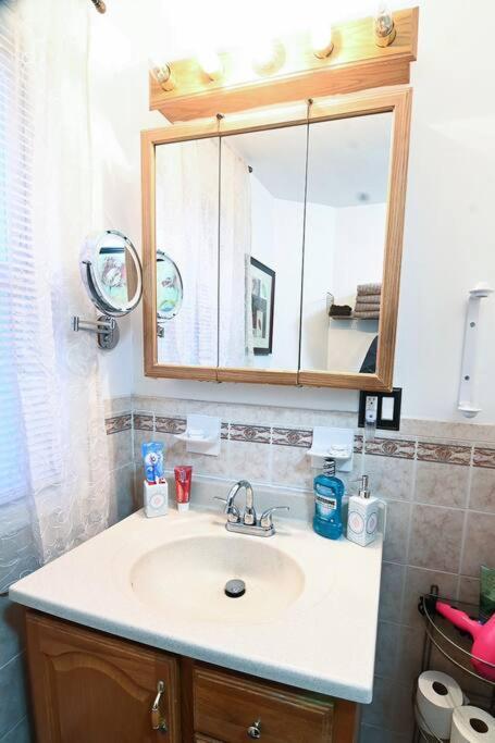 Urban Oasis With Sauna And King Bed With Free Parking Plus More Jersey City