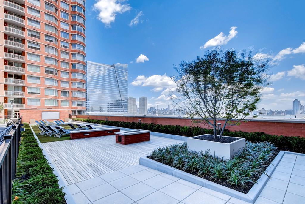 Bluebird In Apartment Jersey City