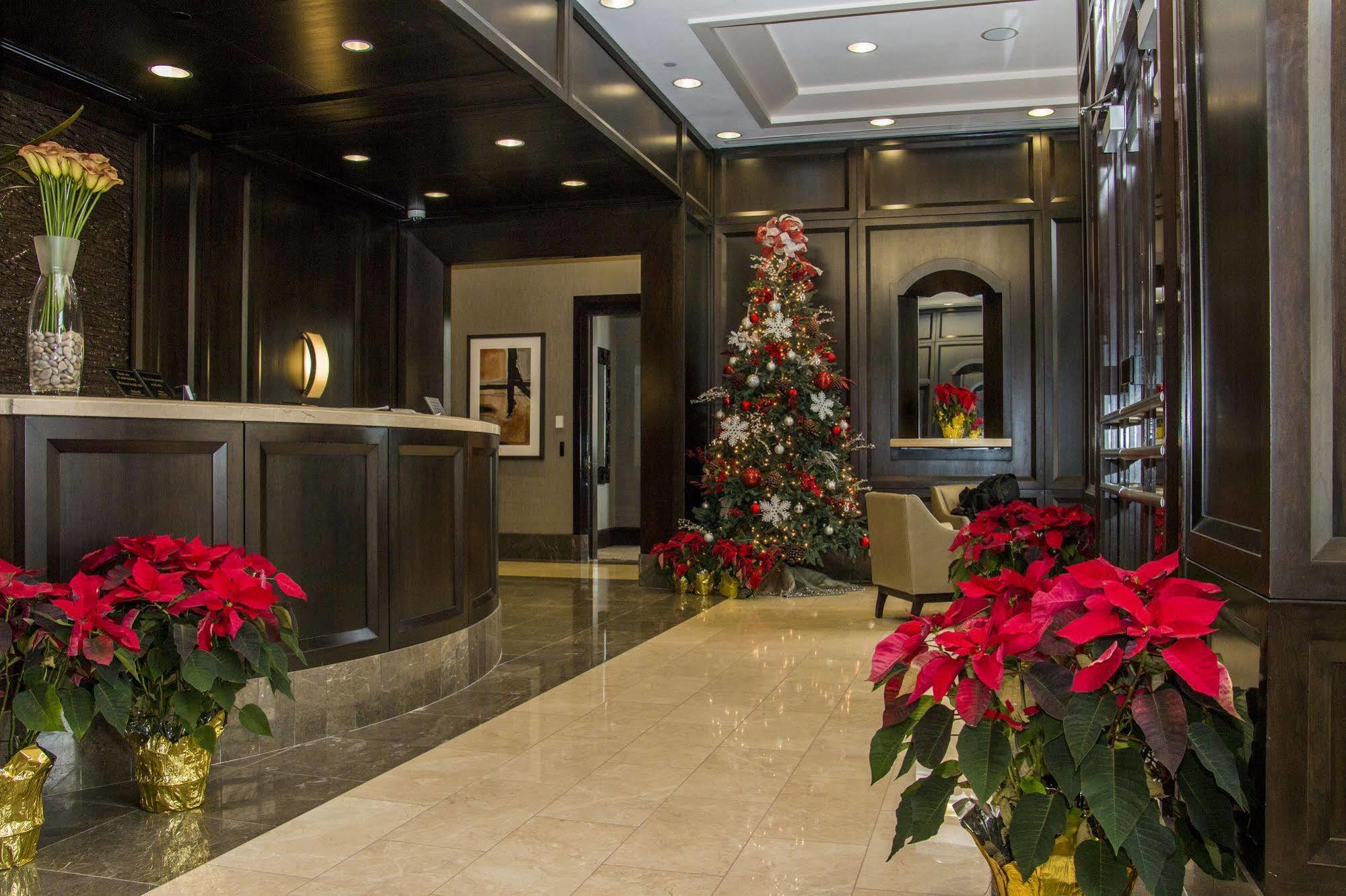 New York Area Modern Apartment Jersey City