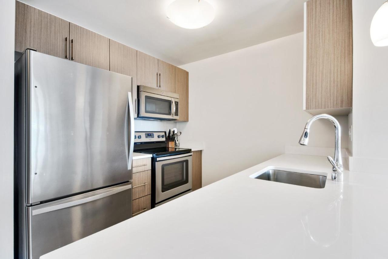 Bluebird In Apartment Jersey City