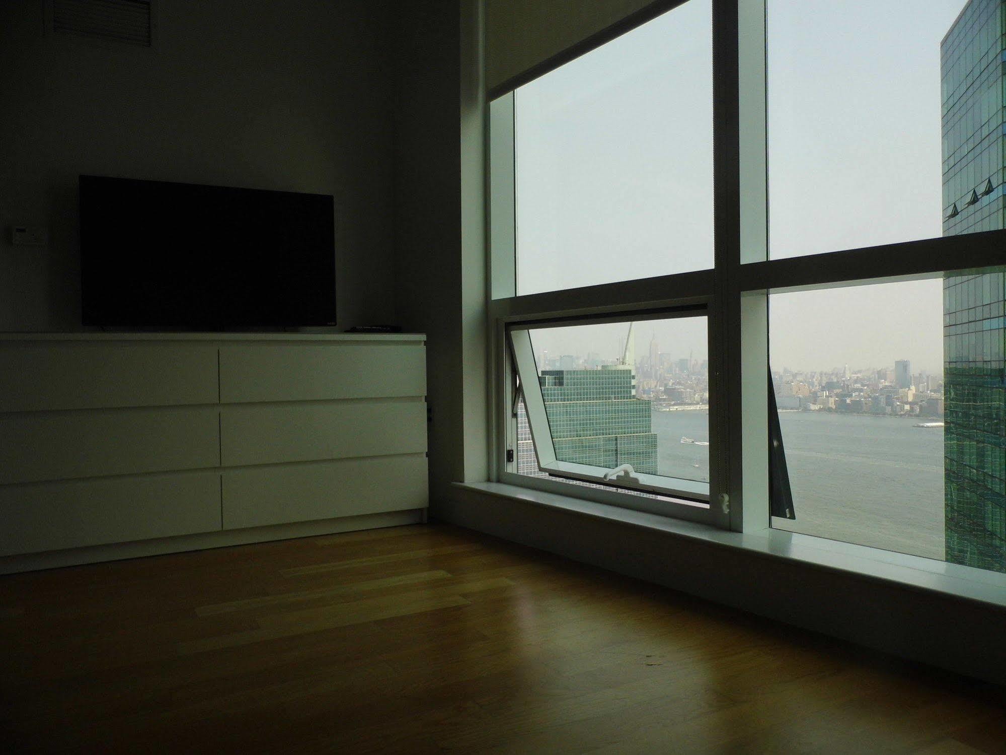 Freedom Manhattan View
