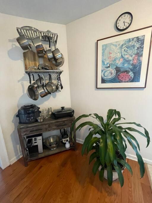 Urban Oasis With Sauna And King Bed With Free Parking